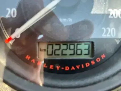 Harley Davidson Low Rider S  BJ 2016 