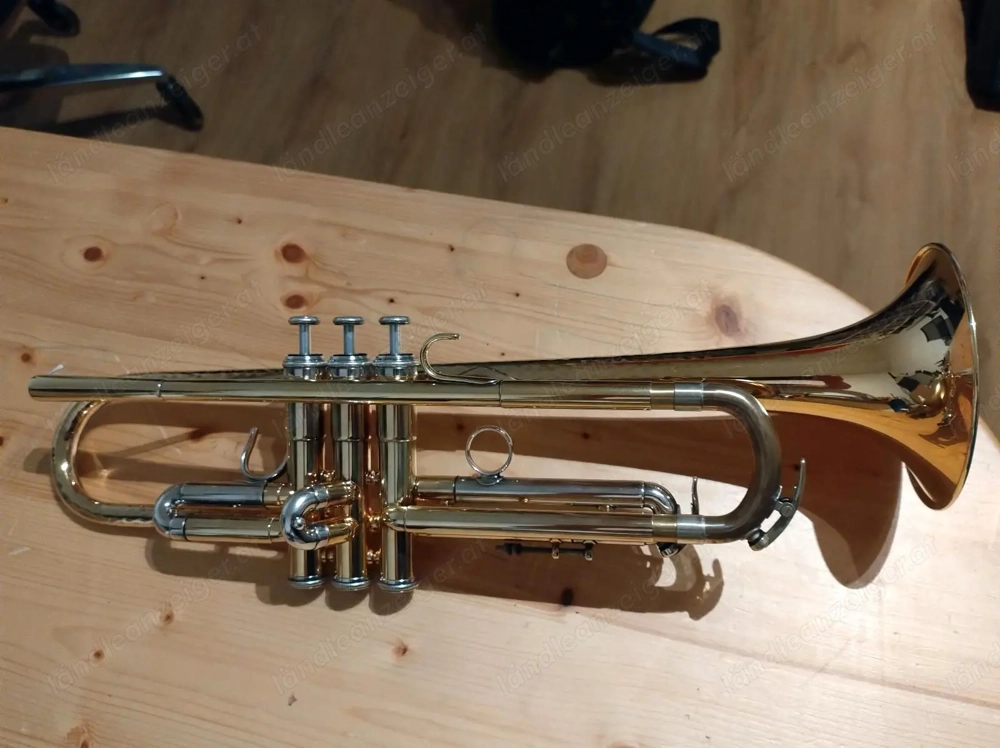 Brassego by Haagston Performer Singing Bell Trompete