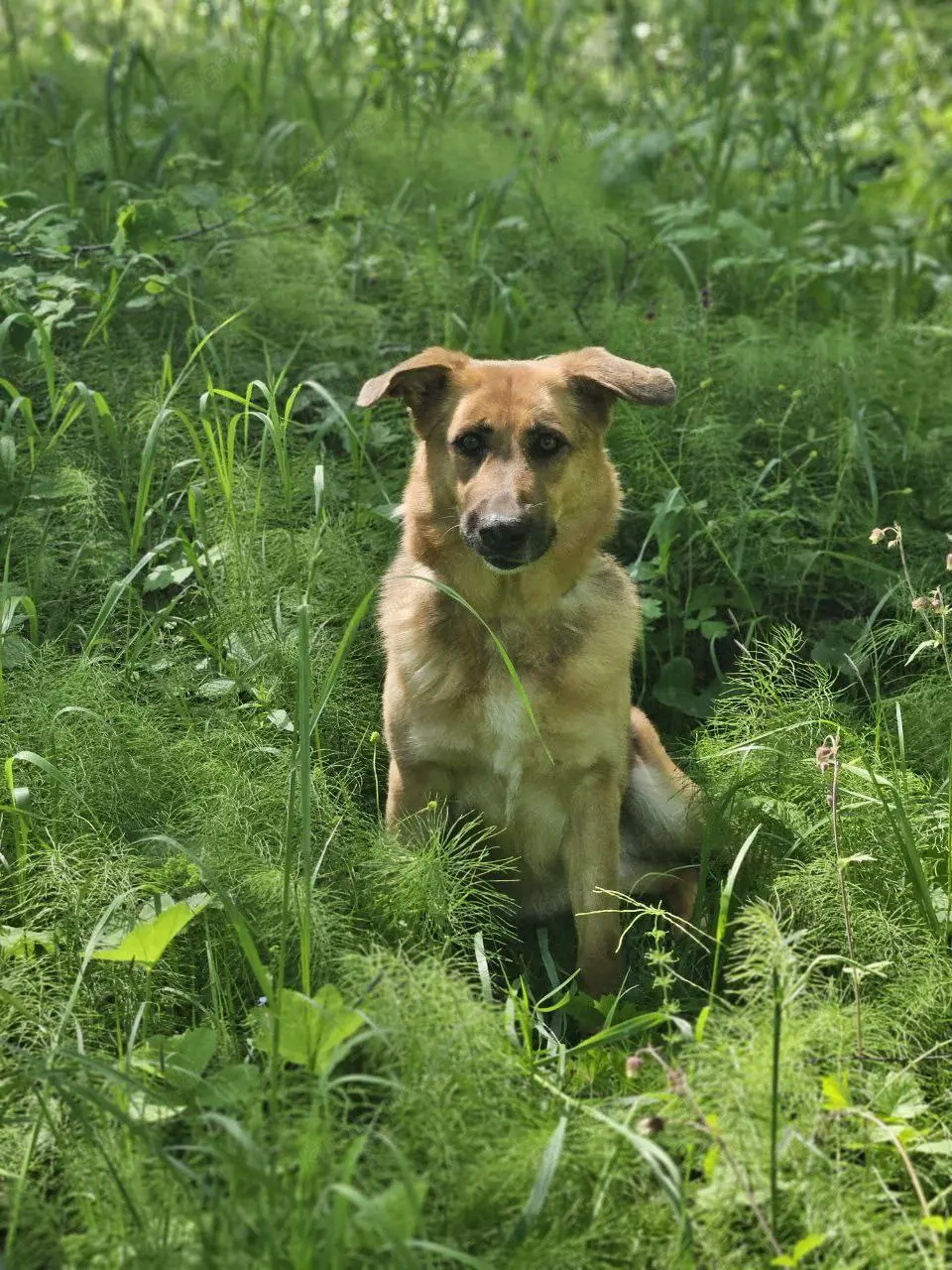 Zauberhafte Nadia sucht ihre menschen 
