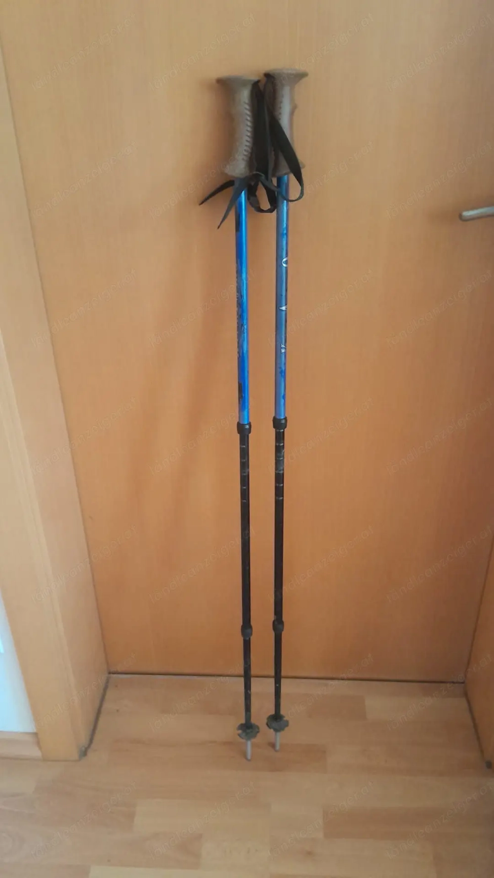 Ski-Stöcke verstellbar (110-135cm)