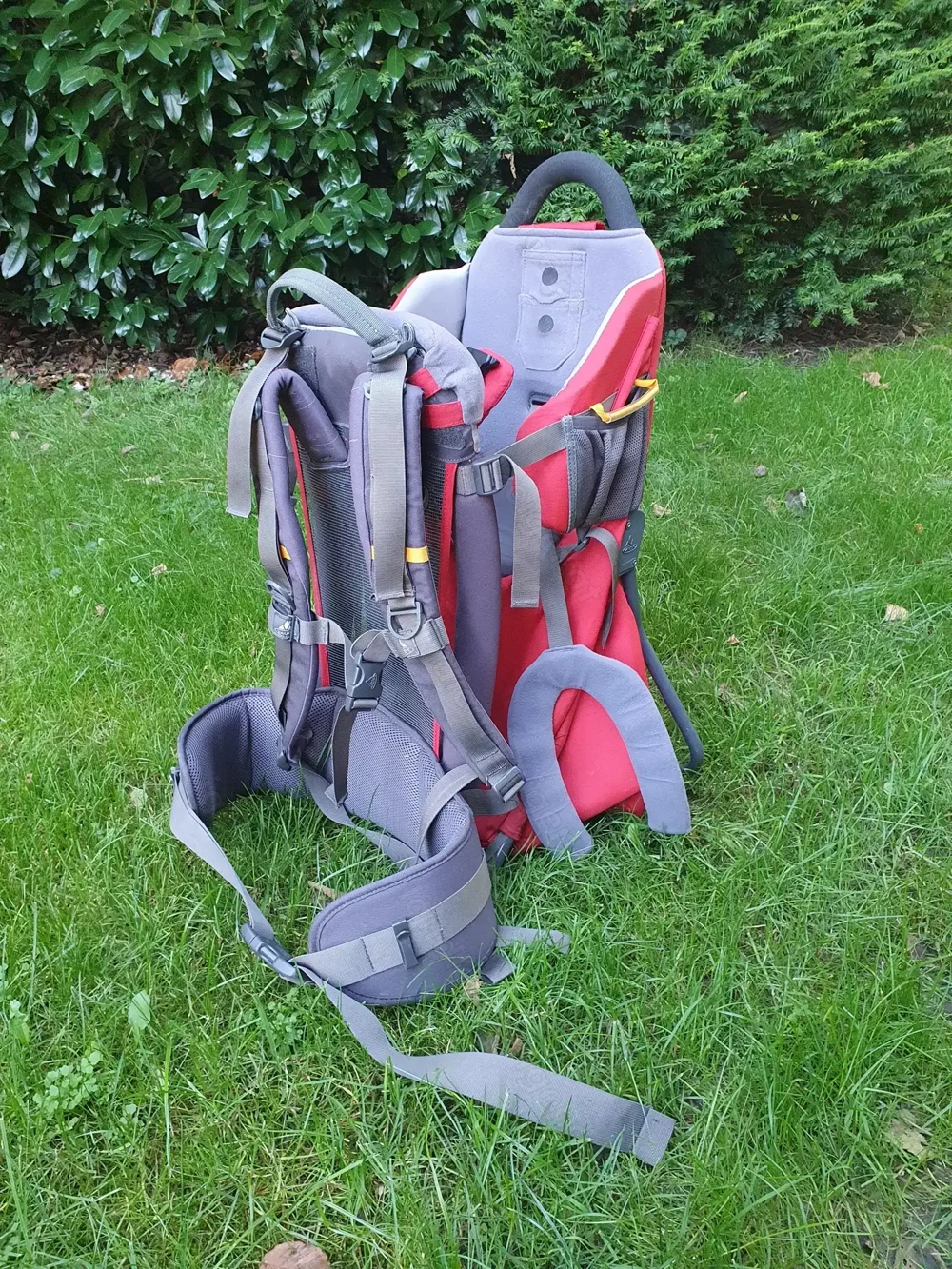 Rückentrage Kraxe zum Wandern