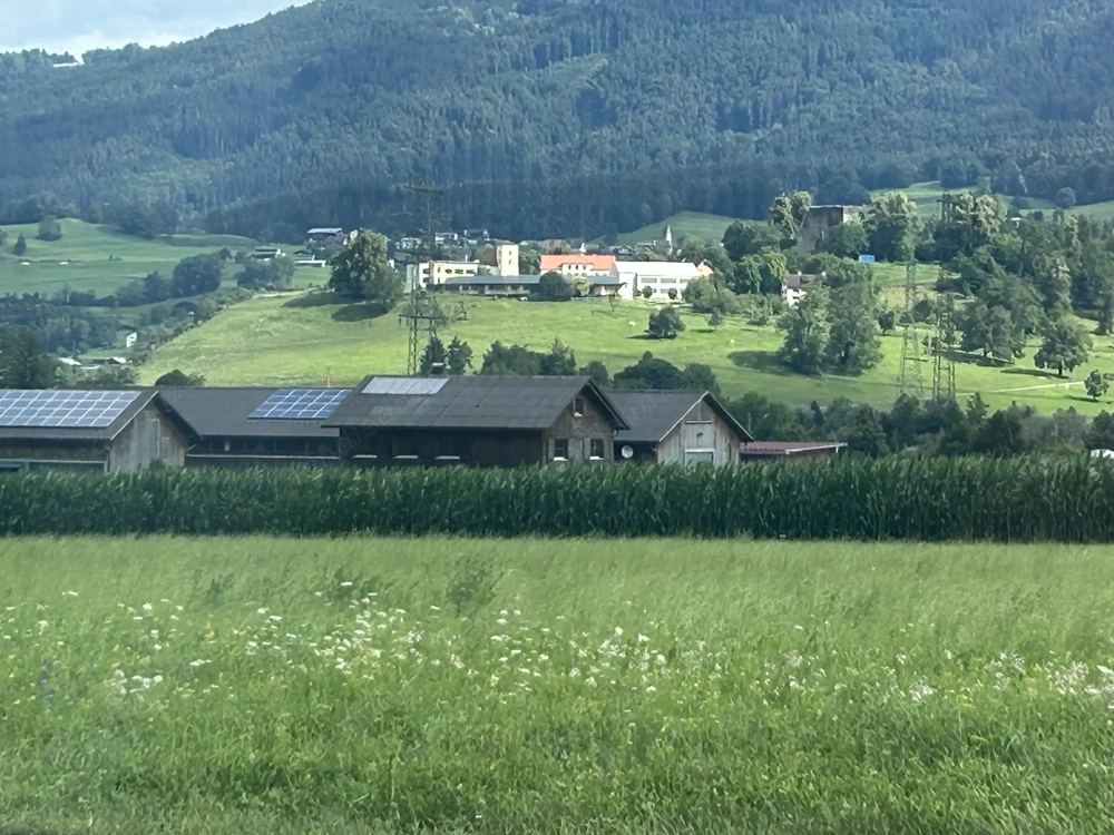 Mehrfamilienhaus Schlins mit Großem Baugrund 1163m2. 2 Wohnungen und Bauplatz