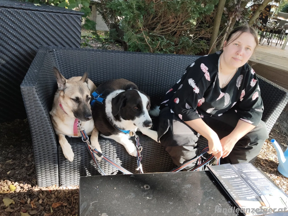 Hundemenschen und  Test Kunden gesucht.