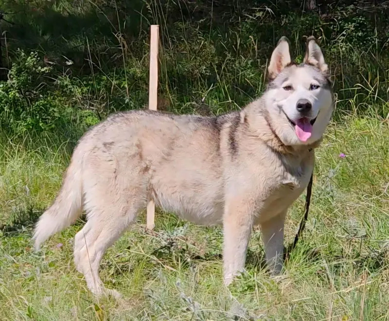 Asna sucht sportlich aktive Menschen
