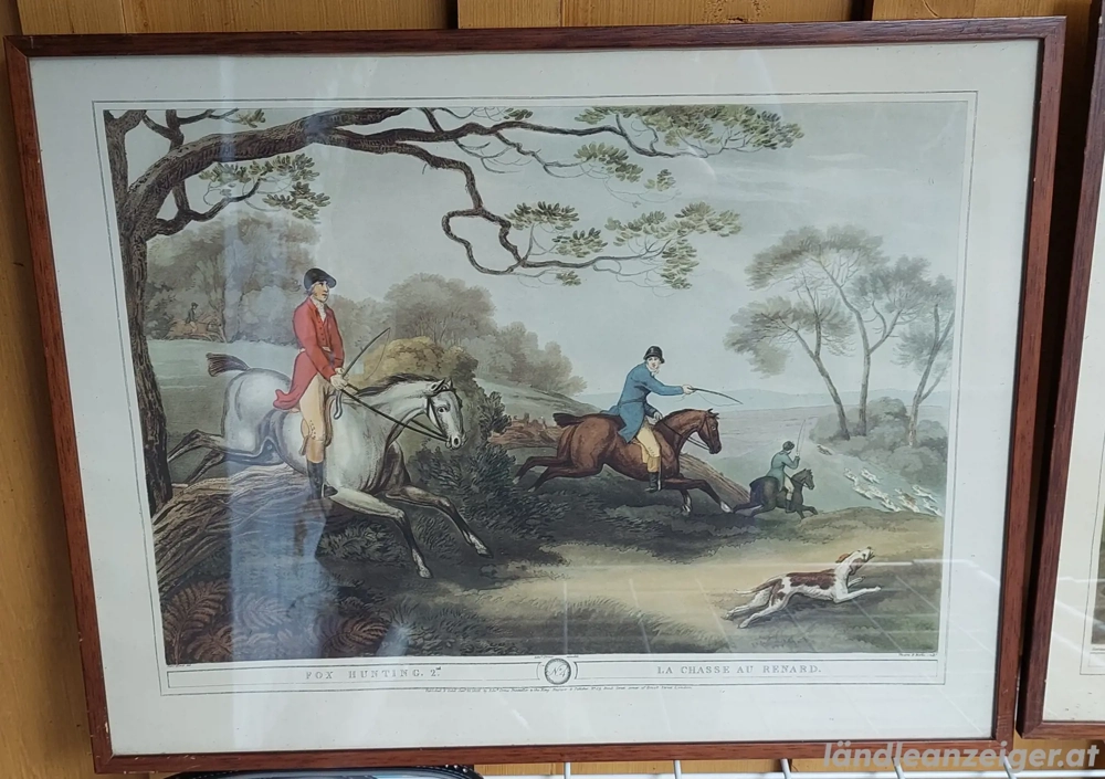 Bilderserie Foxhunting