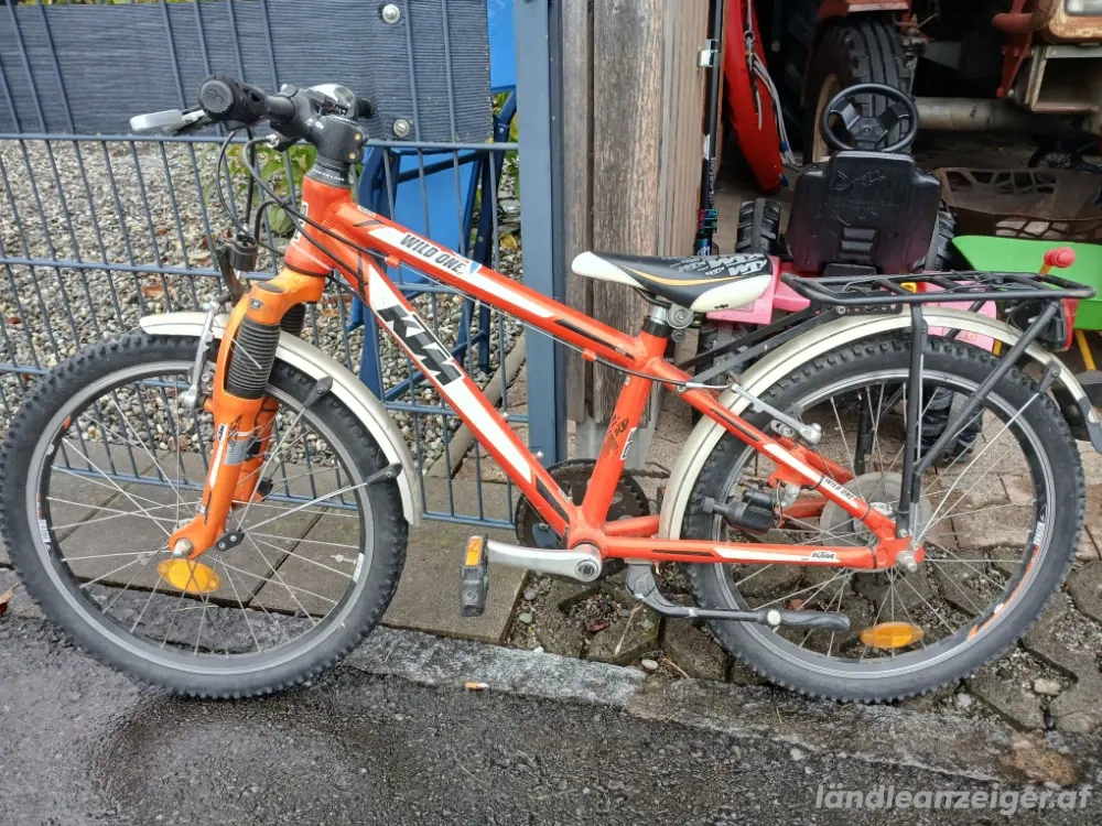 Kinder Fahrrad 20 Zoll