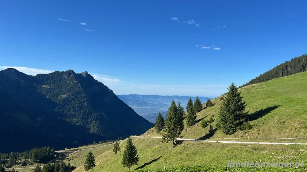 Suche Wald zum Ankauf