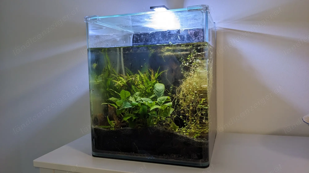 Aquarium nano cube 30 Liter