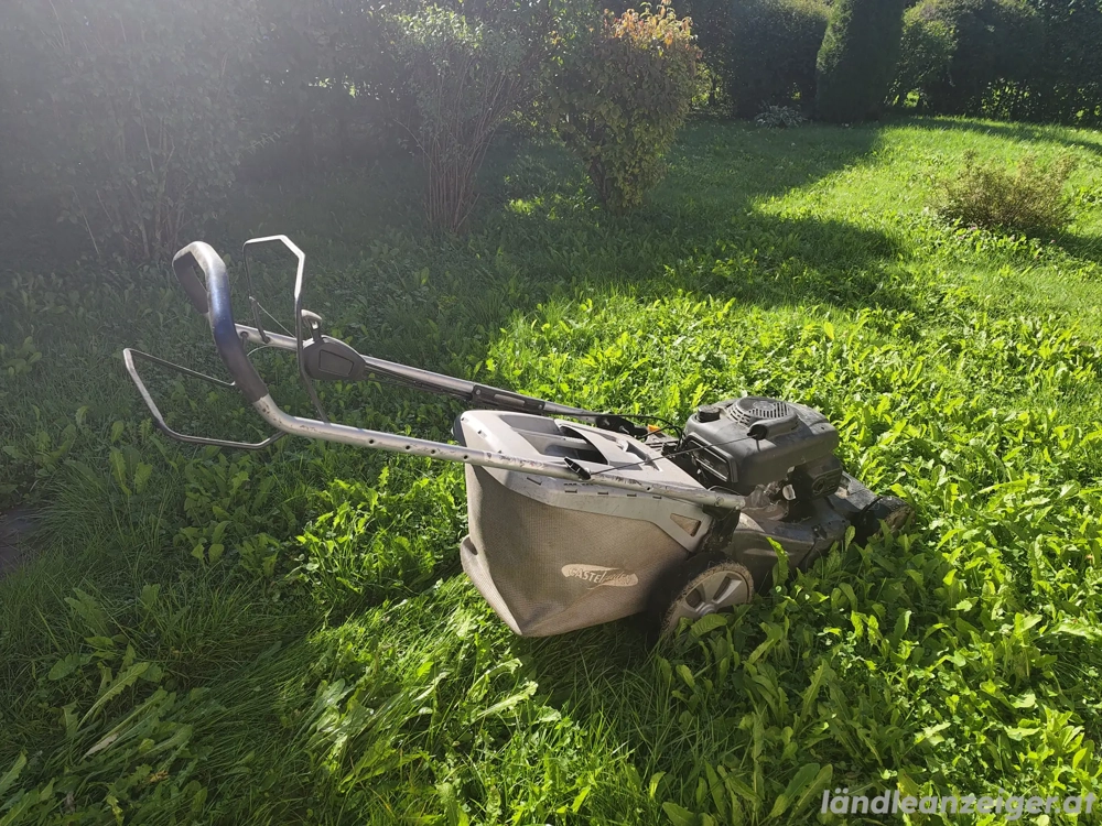 Honda Rasenmäher 