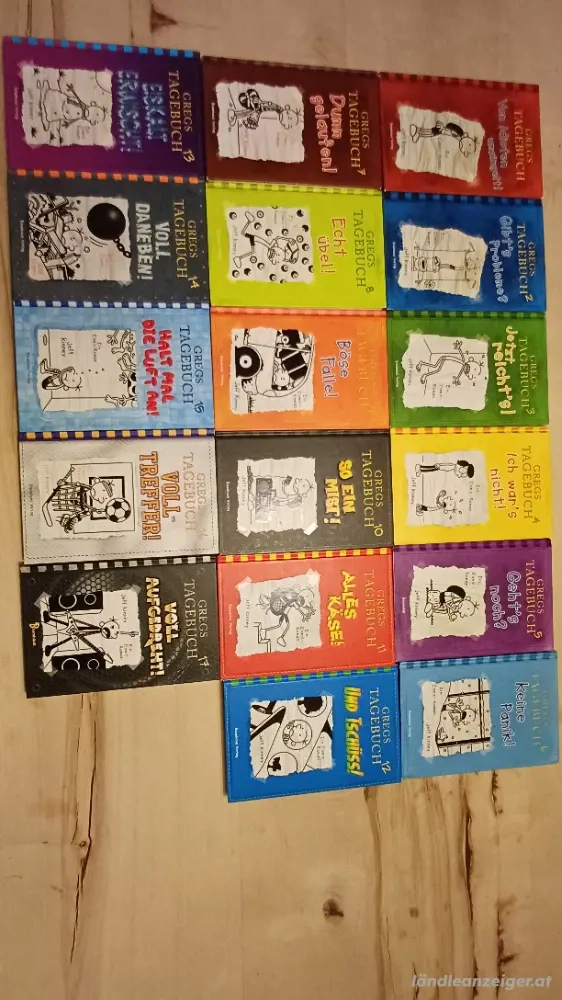 Gregs Tagebuch 3 Buch