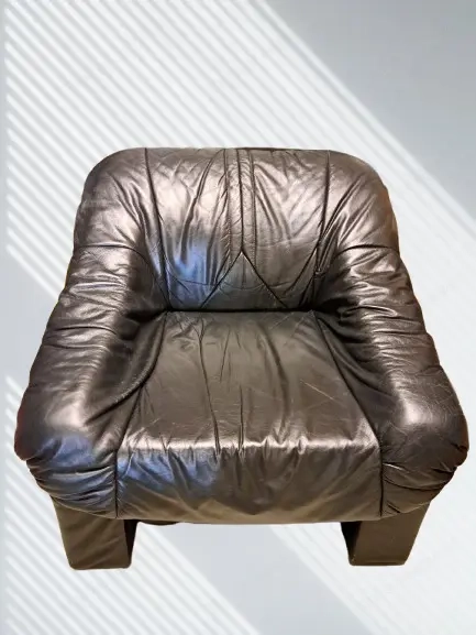 Gemütlicher Ledersessel