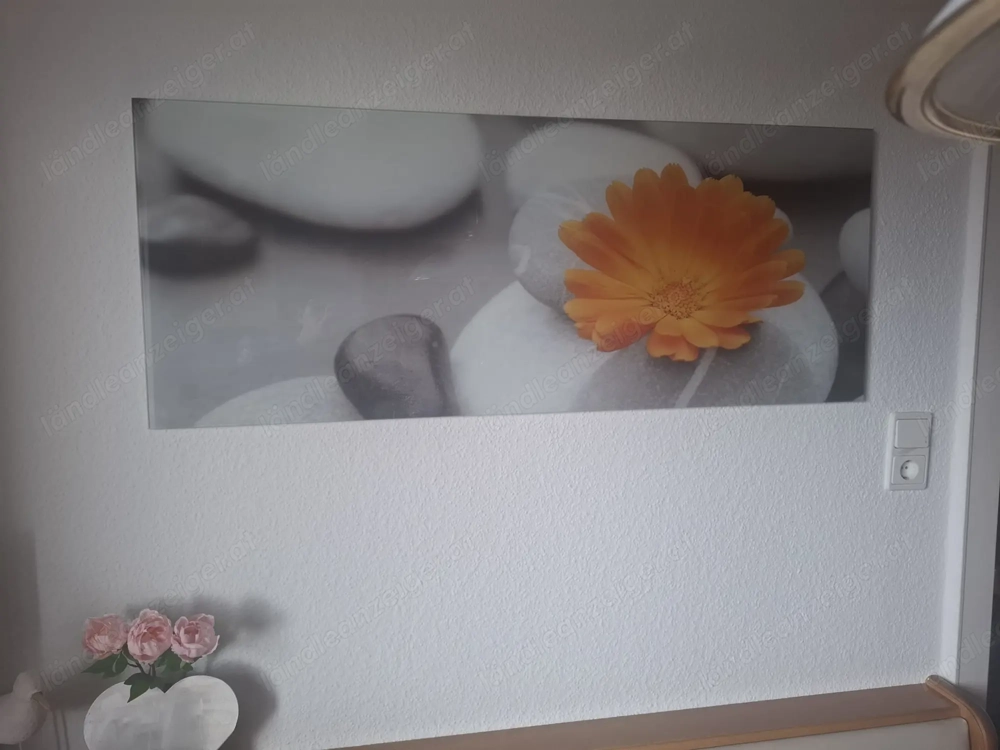 Glasbild Natur Blume