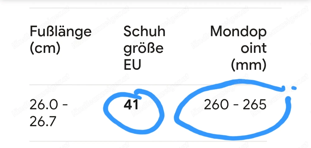 Skischuh Head Größe 41
