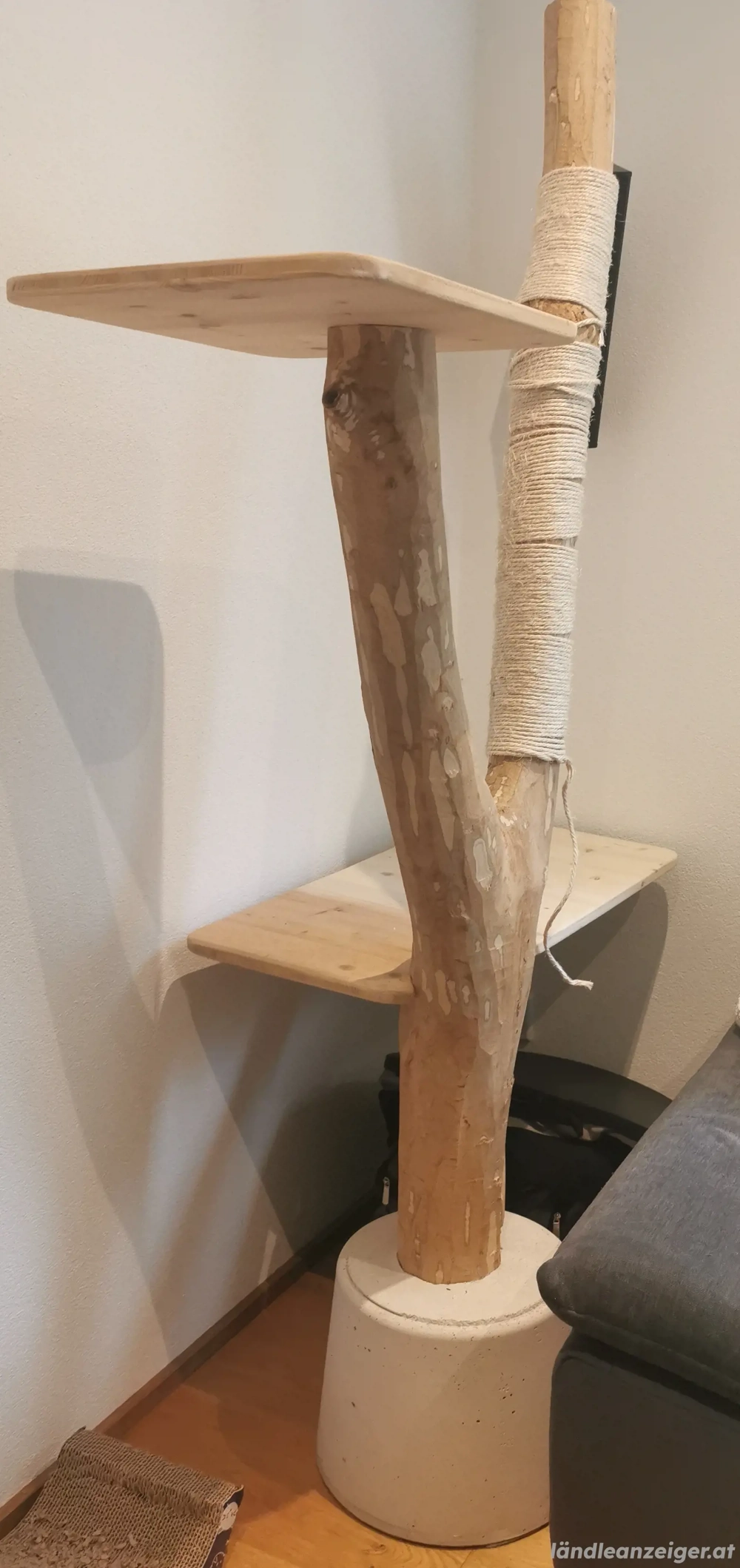 Katzenbaum mit echtem Stamm