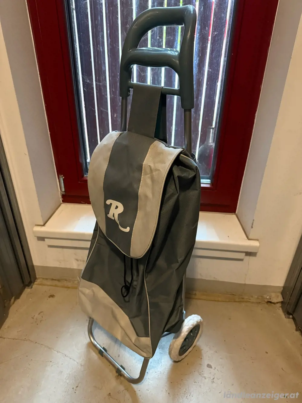 Einkaufwagen Trolley