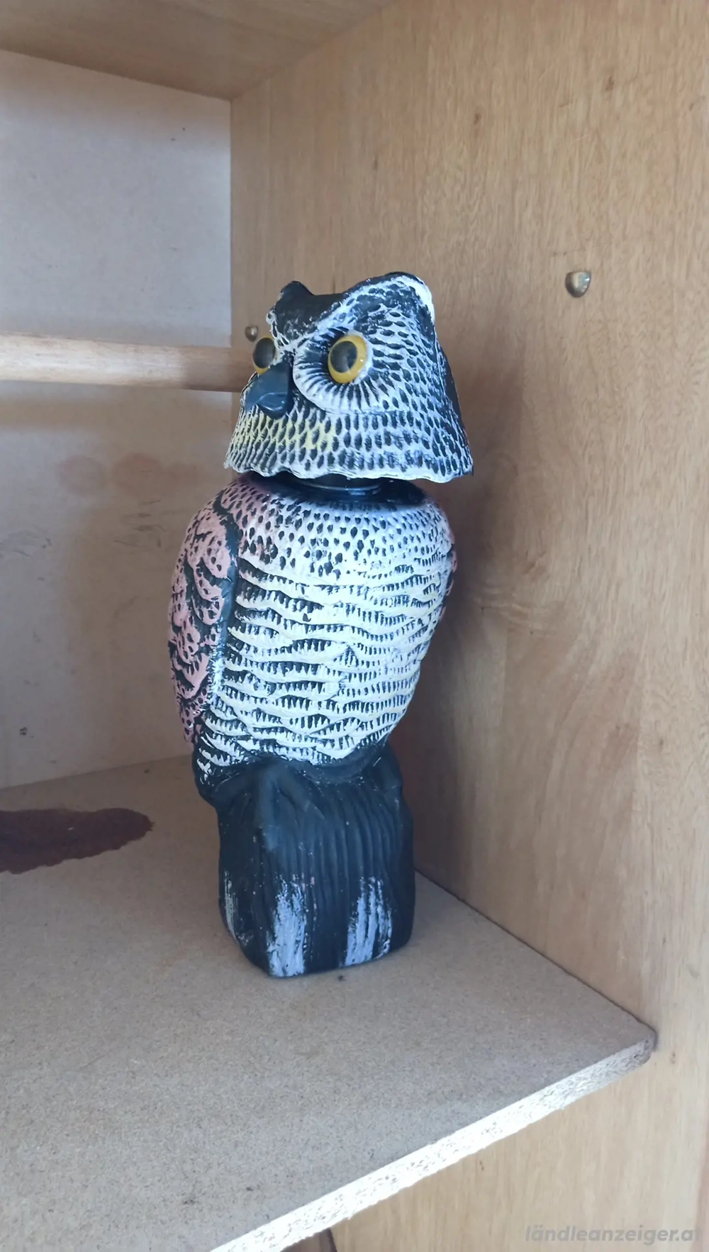 Eulen (Vogelschreck)