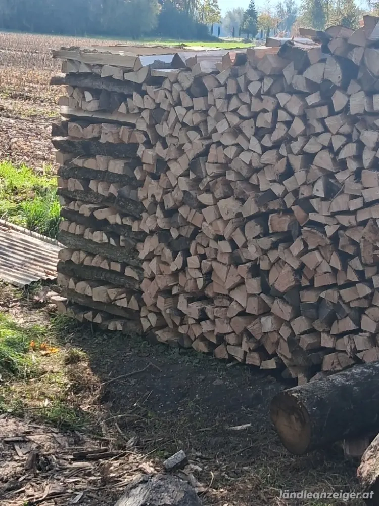 Brennholz 