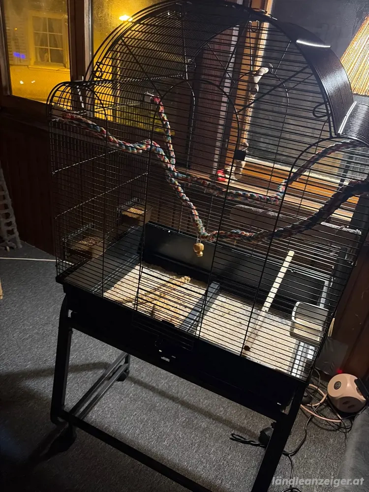 Vogel Käfig 