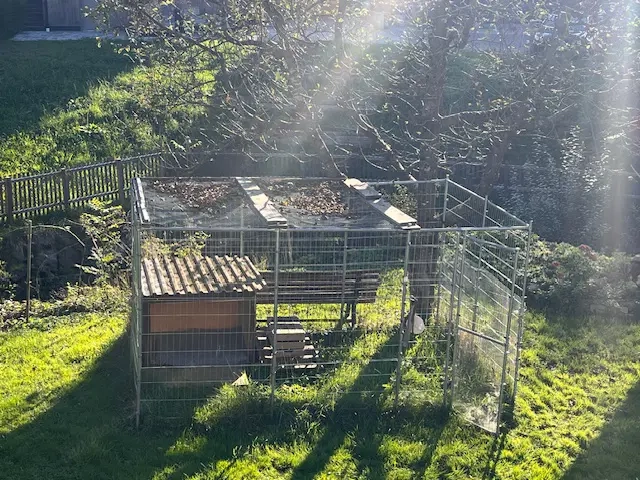 Hundezwinger   Hühnervoliere 3x2 m verzinkt   stabil, wetterfest, günstig abzugeben (Andelsbuch)