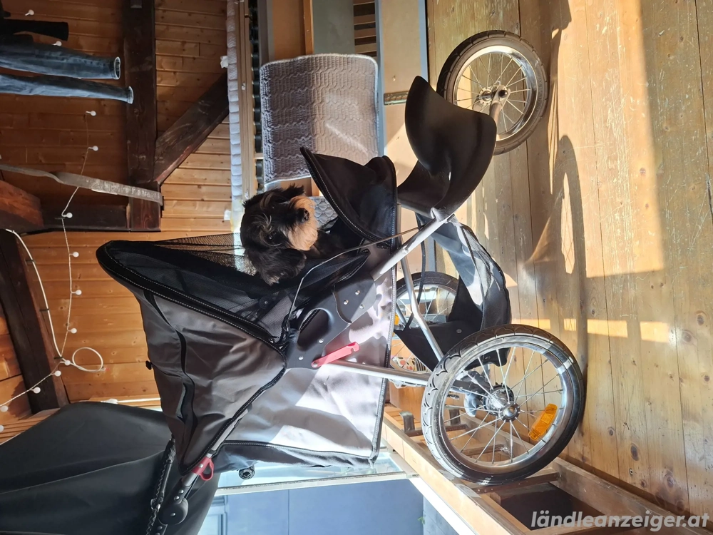 joggerwagen für kleine Hunde