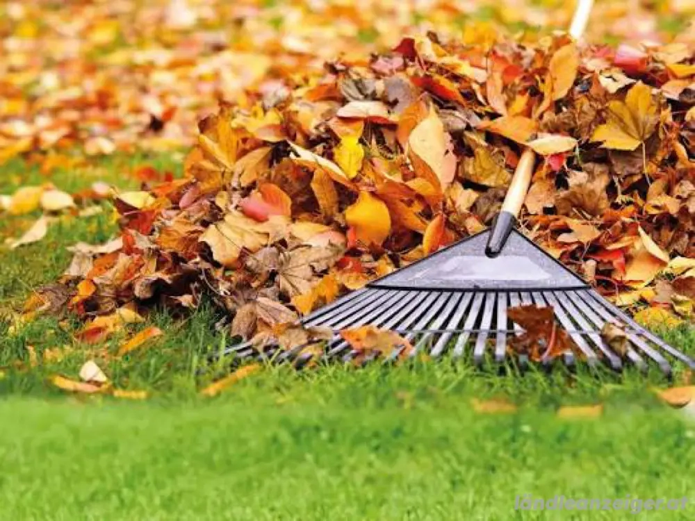 Gärtner,Haushalthilfe 