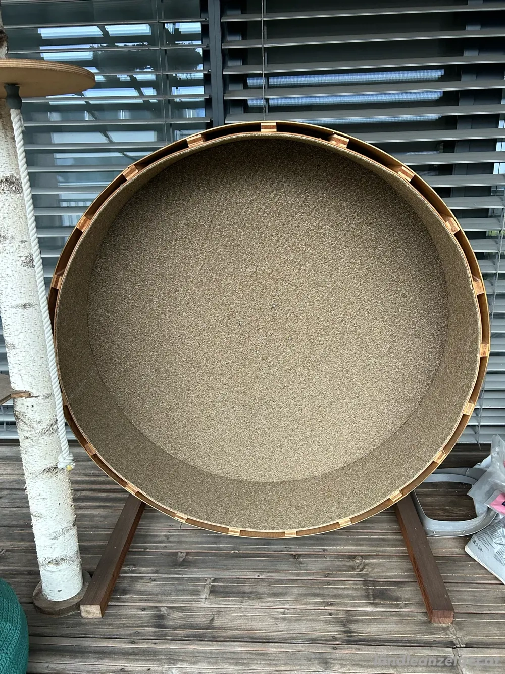 Katzenrad   Laufrad Katzen