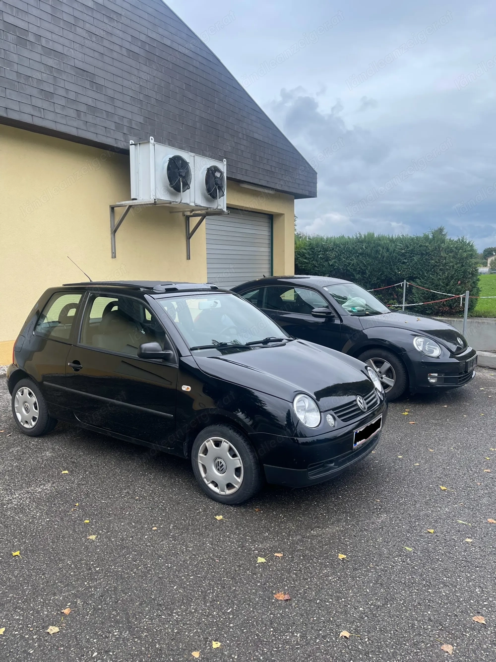 VW Lupo 1,4 tdi Diesel 75 ps Volkswagen Golf 