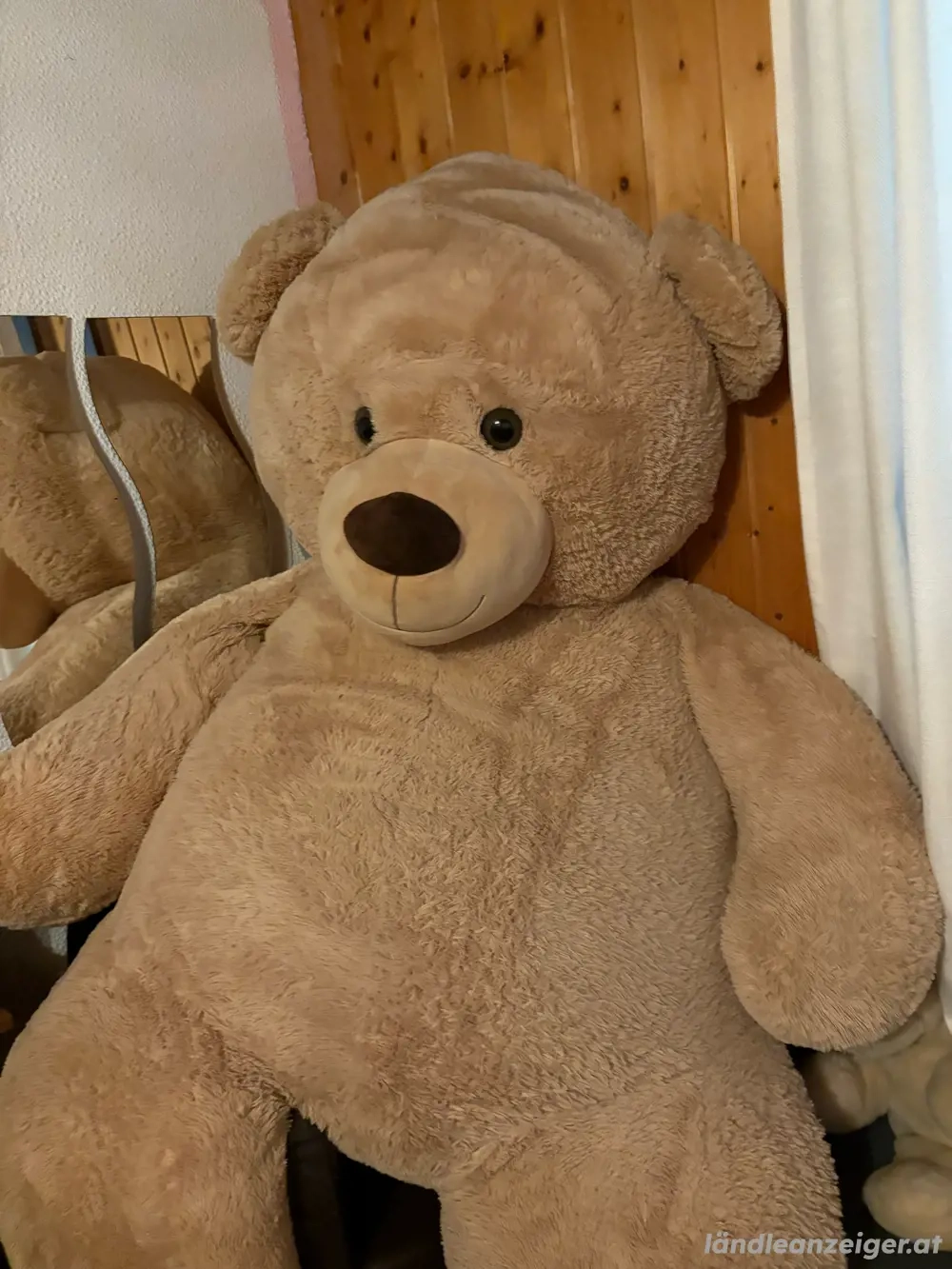 Teddy bär 165cm