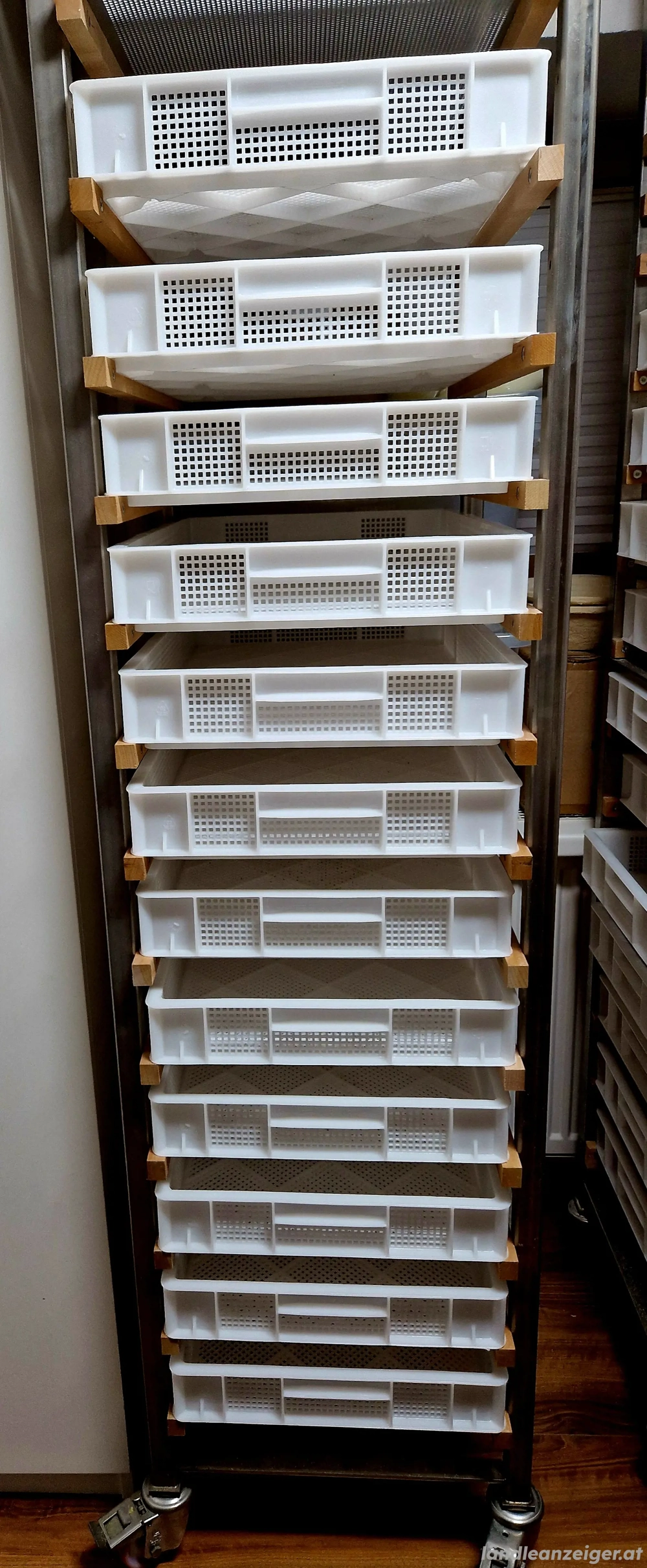 Häussler Nudelmaschinen-Set   Perfekt für Hofladen oder Gastro!