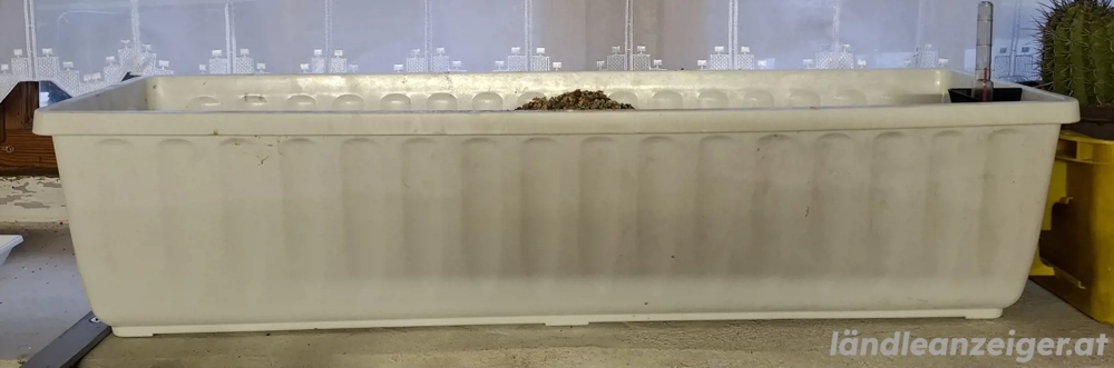 Diverse Blumentöpfe