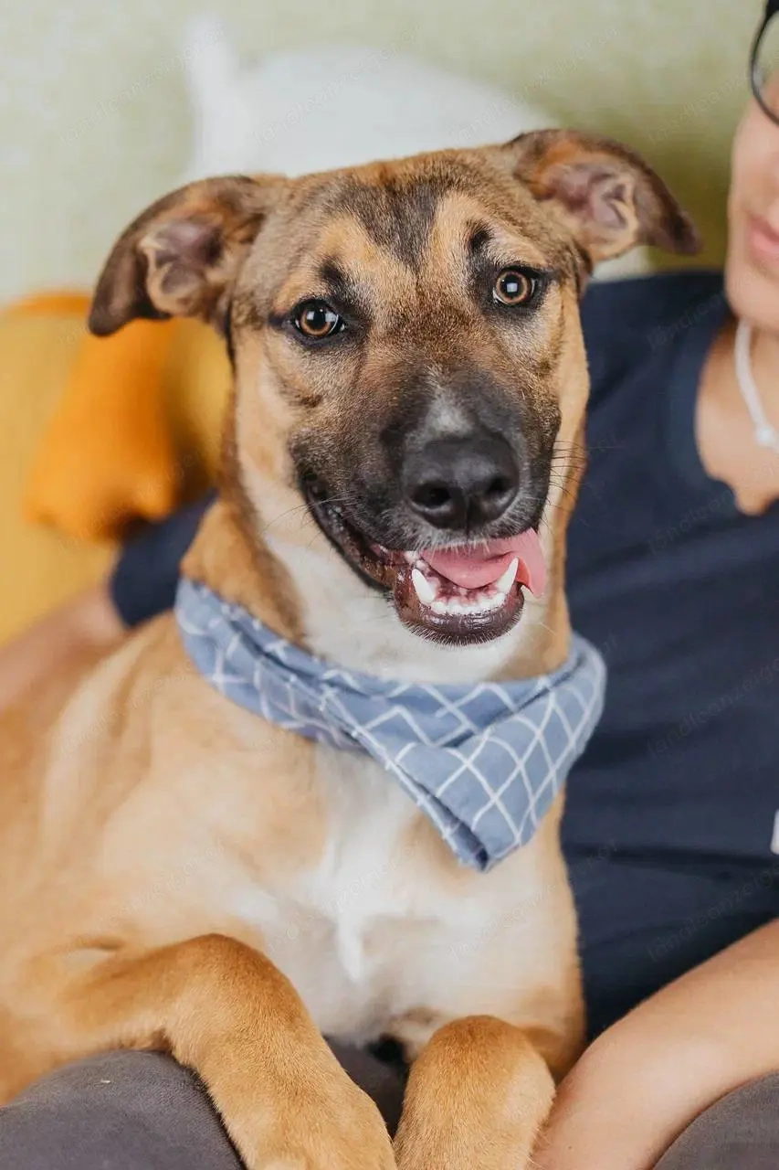 Tim sucht menschen die bleiben 