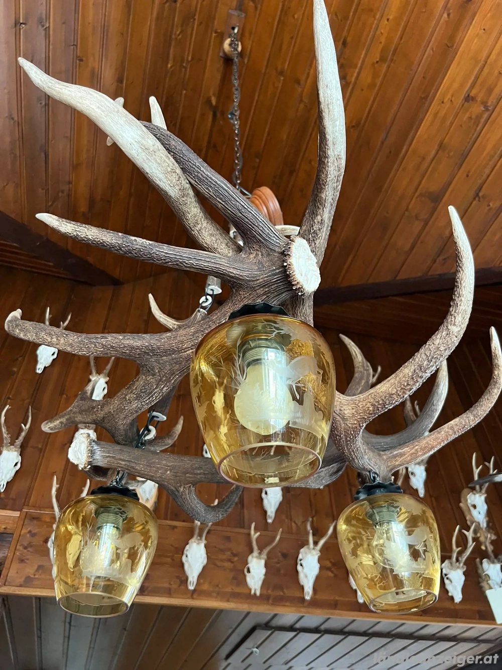 Leuchte Lampe Hirsch Geweih