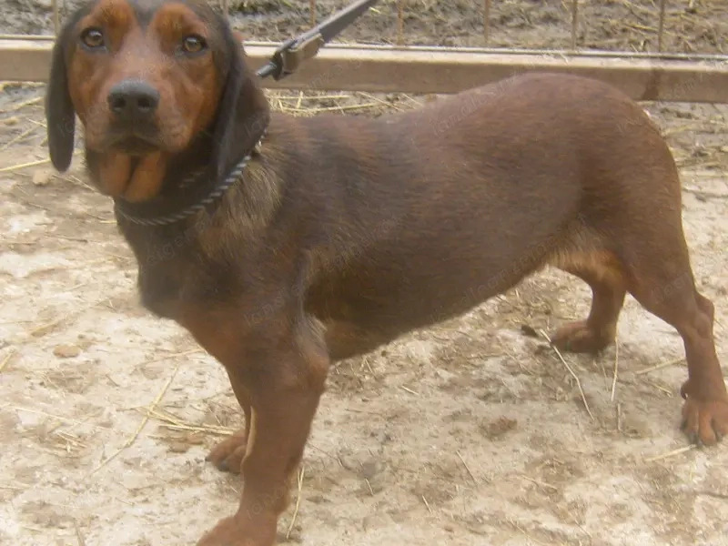 Tyra möchte bei IHNEN einziehen