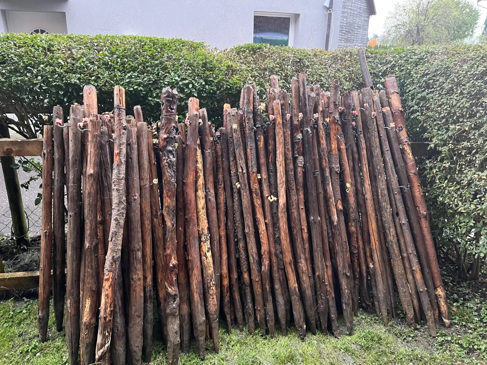 Knorrige alte Zaunpfähle für Deko oder für AlternativZaun  usw günstig abzugeben