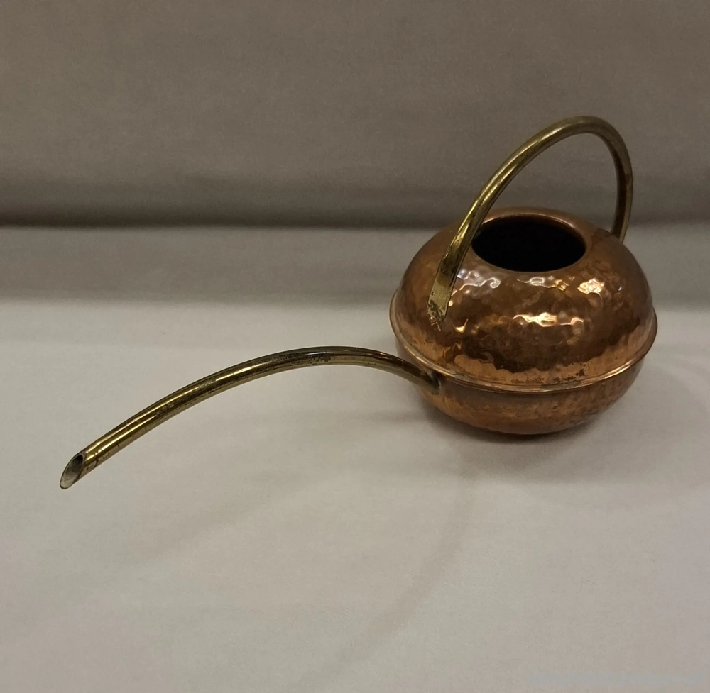 Vintage Kakteen Giesskanne 