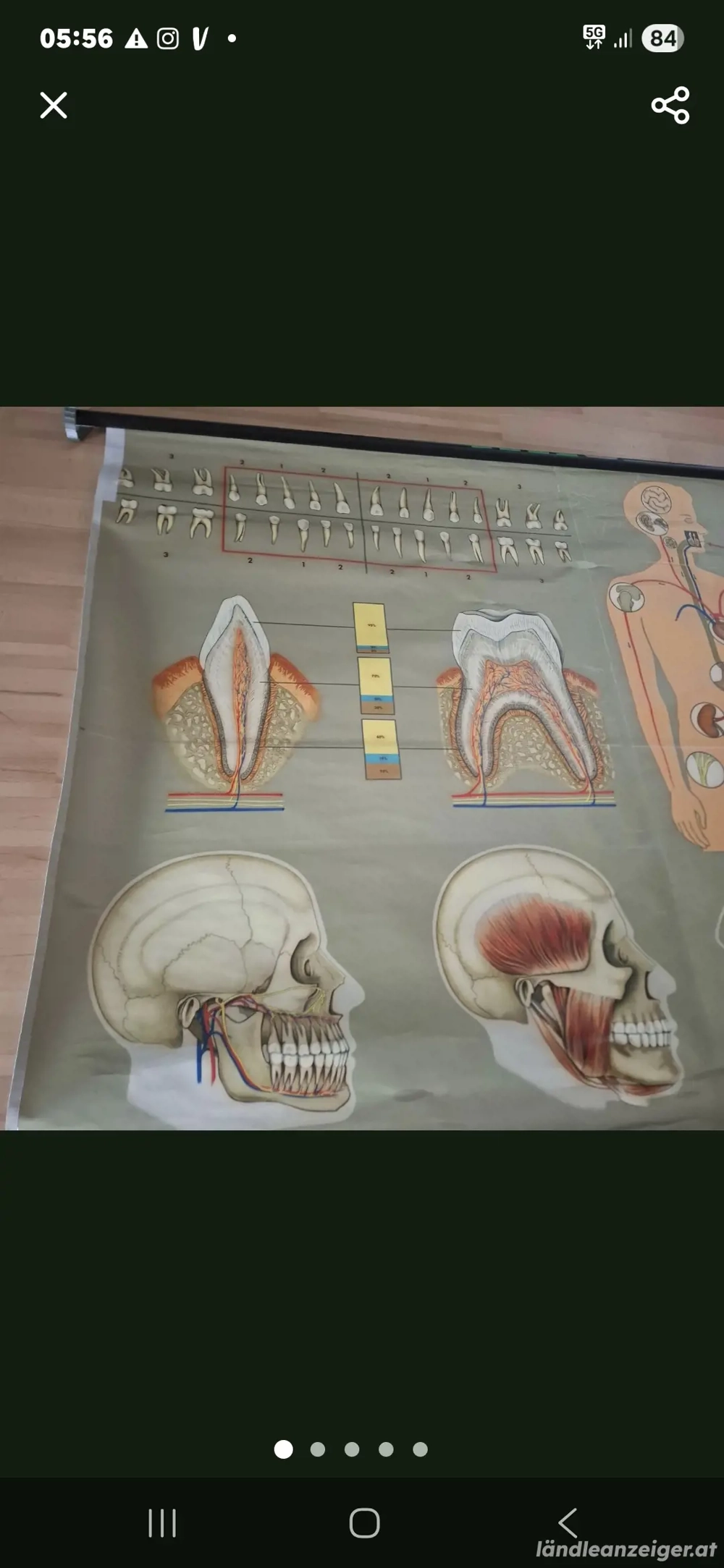 Alte Lehrtafeln 60er 70er
