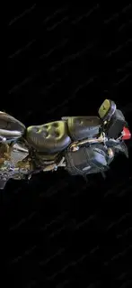 Schönes Motorrad zur Restaurierung