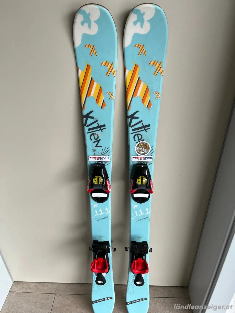 Salomon Ski