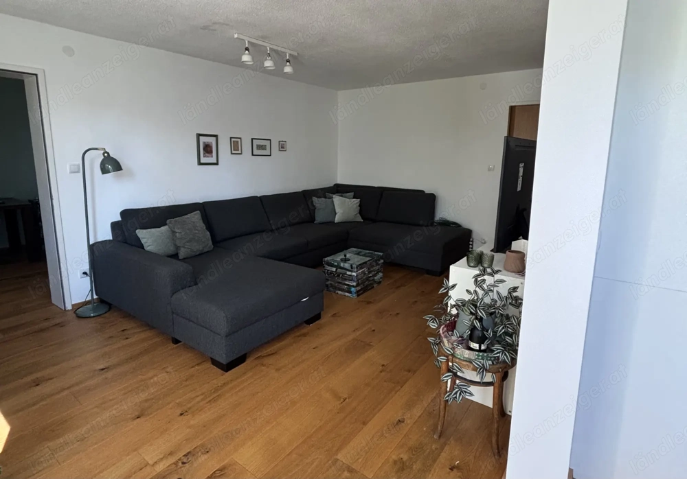 Couch wegen Umzug zu verkaufen   Top Zustand!