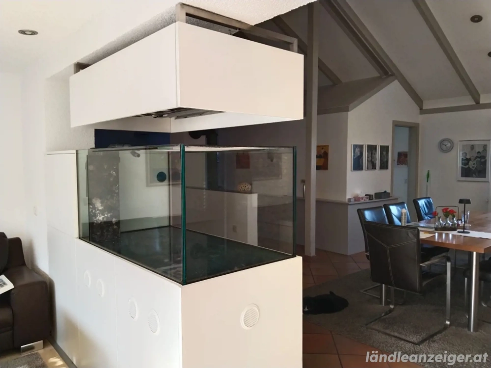 Meerwasseraquarium 500 liter Salzwasseraquarium zu verkaufen 