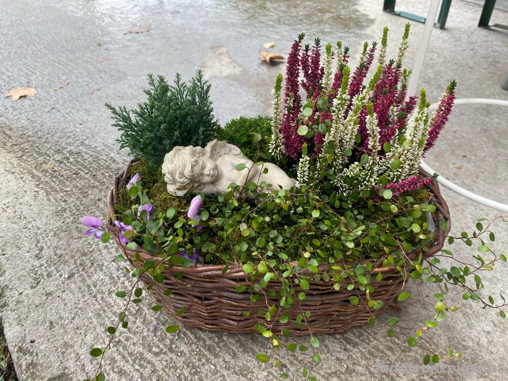 Allerheiligengesteck