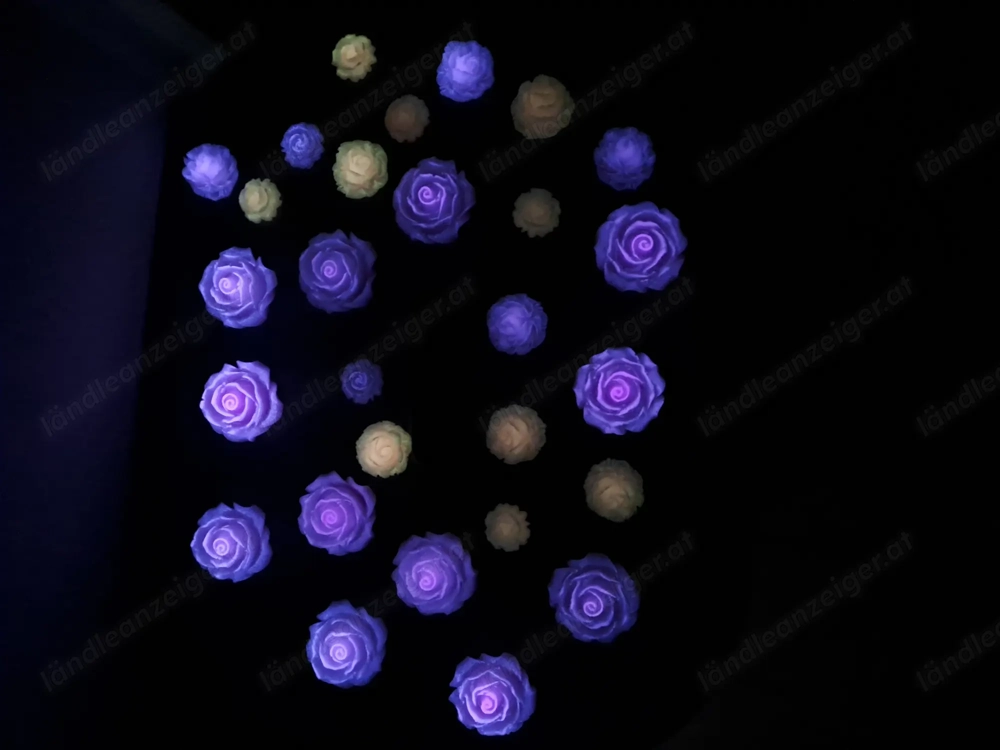 Deko Rosen und andere epoxidharz Sachen zu verkaufen 