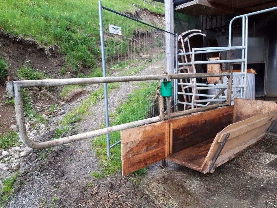 Selbstfang-Fressgitter für 5 Kühe wegen Betriebsumstellung abzugeben