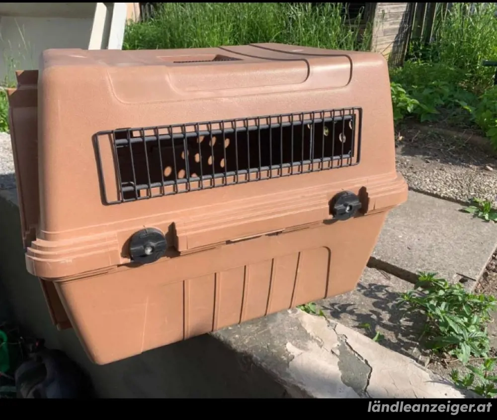 tolle Hundetransportbox
