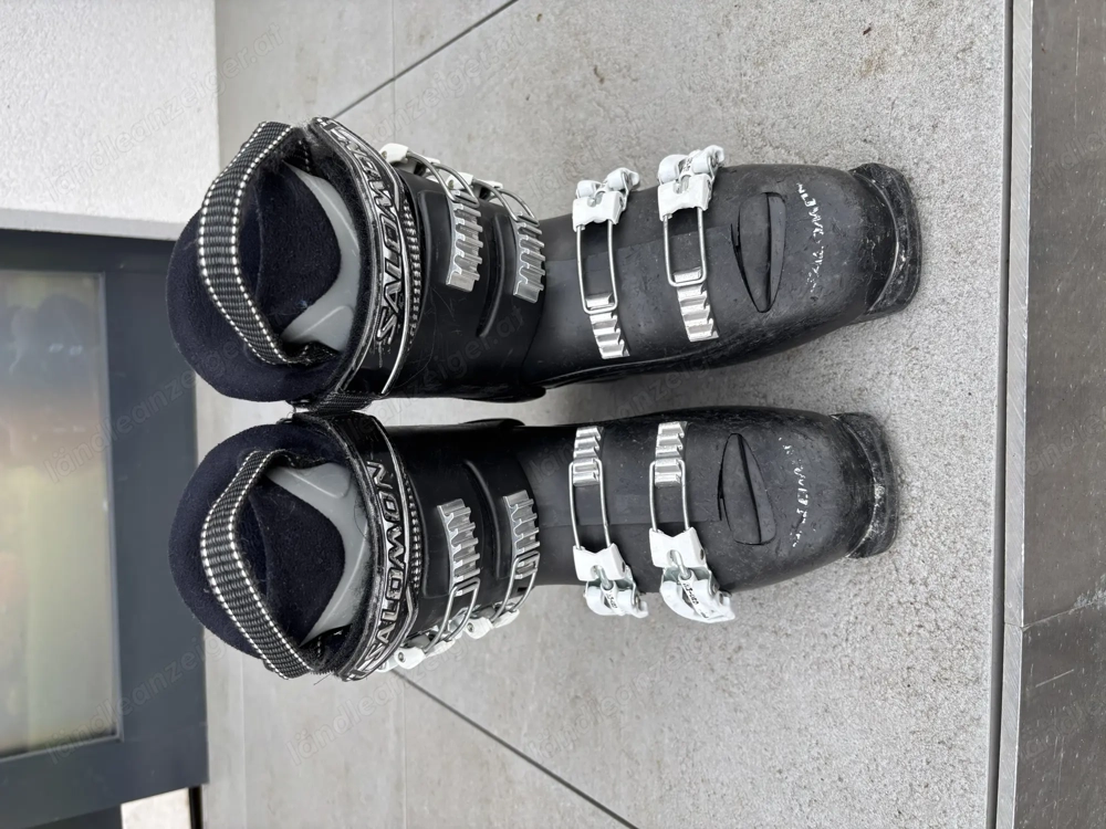 Salomon Skischuhe Gr. 36