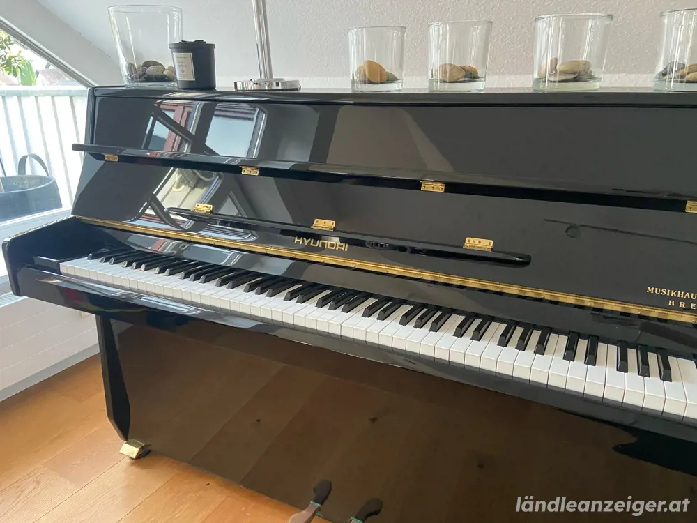 Hyundai Piano U-810 