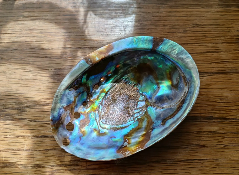 (Reserviert) 2x Avalon Muschel