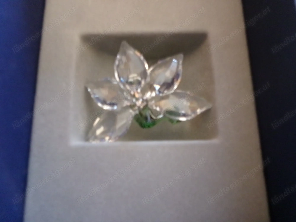 Swarovski - Orchidee