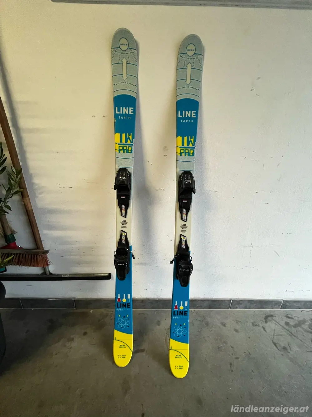 Ski zu verkaufen Line