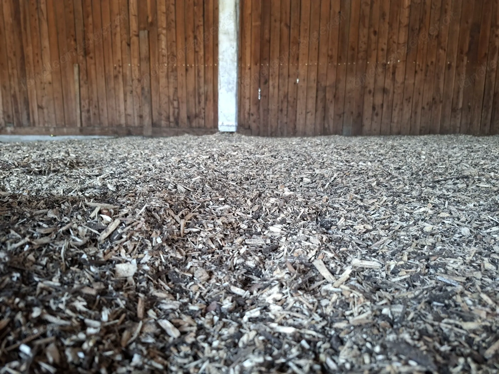 Wallach: vergebe Einstellplatz